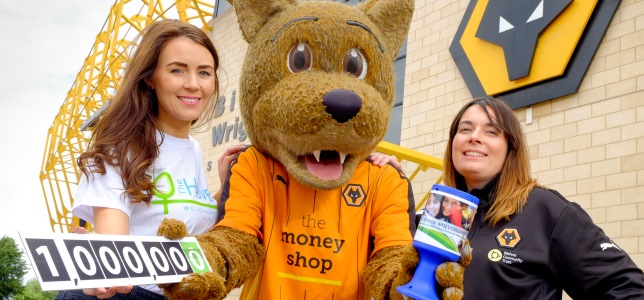 Millionsteps_article